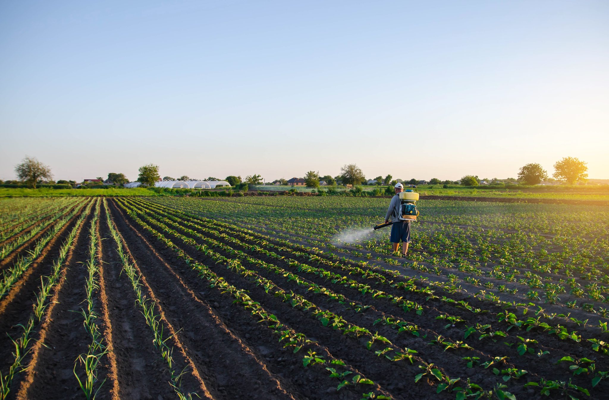 Crop protection. Хозяйство защитное.